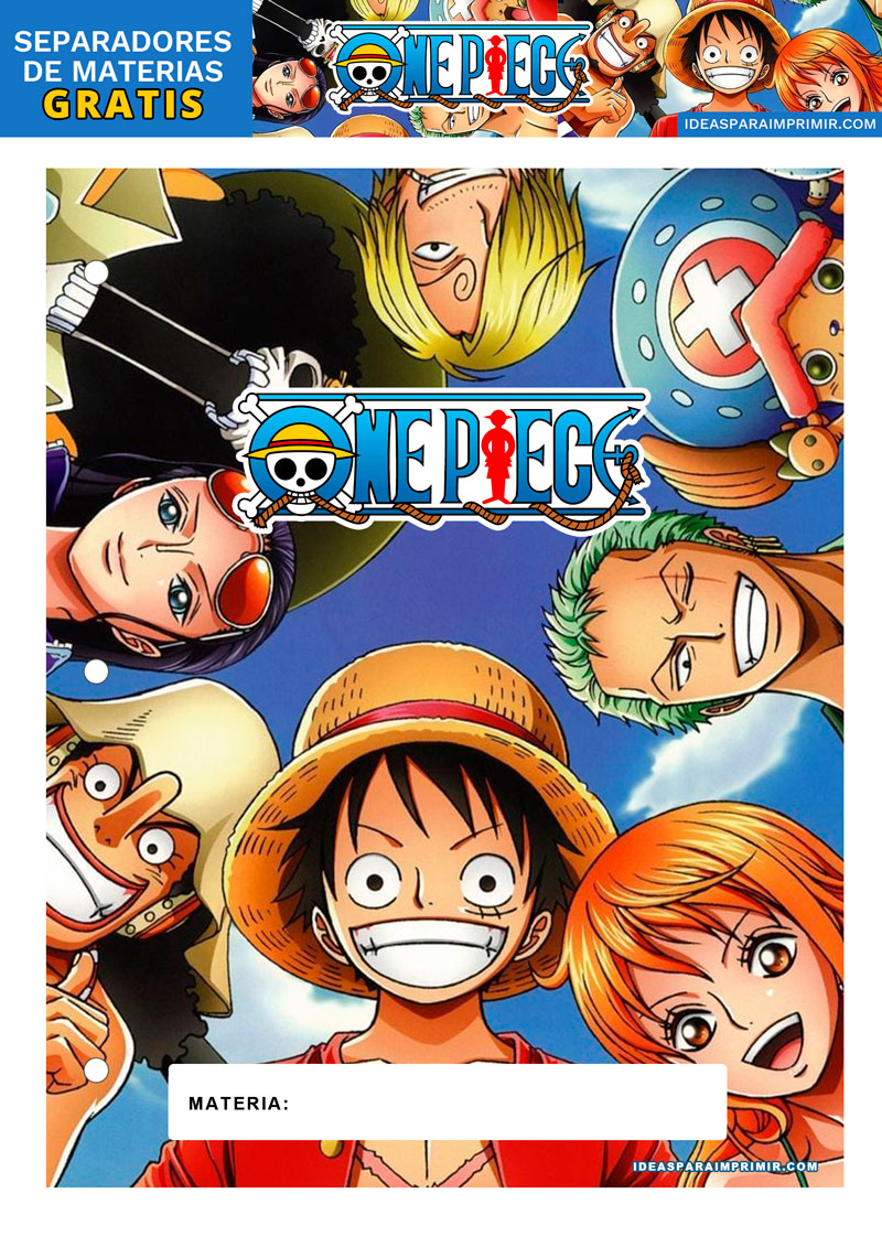 Separador de Materias de One Piece